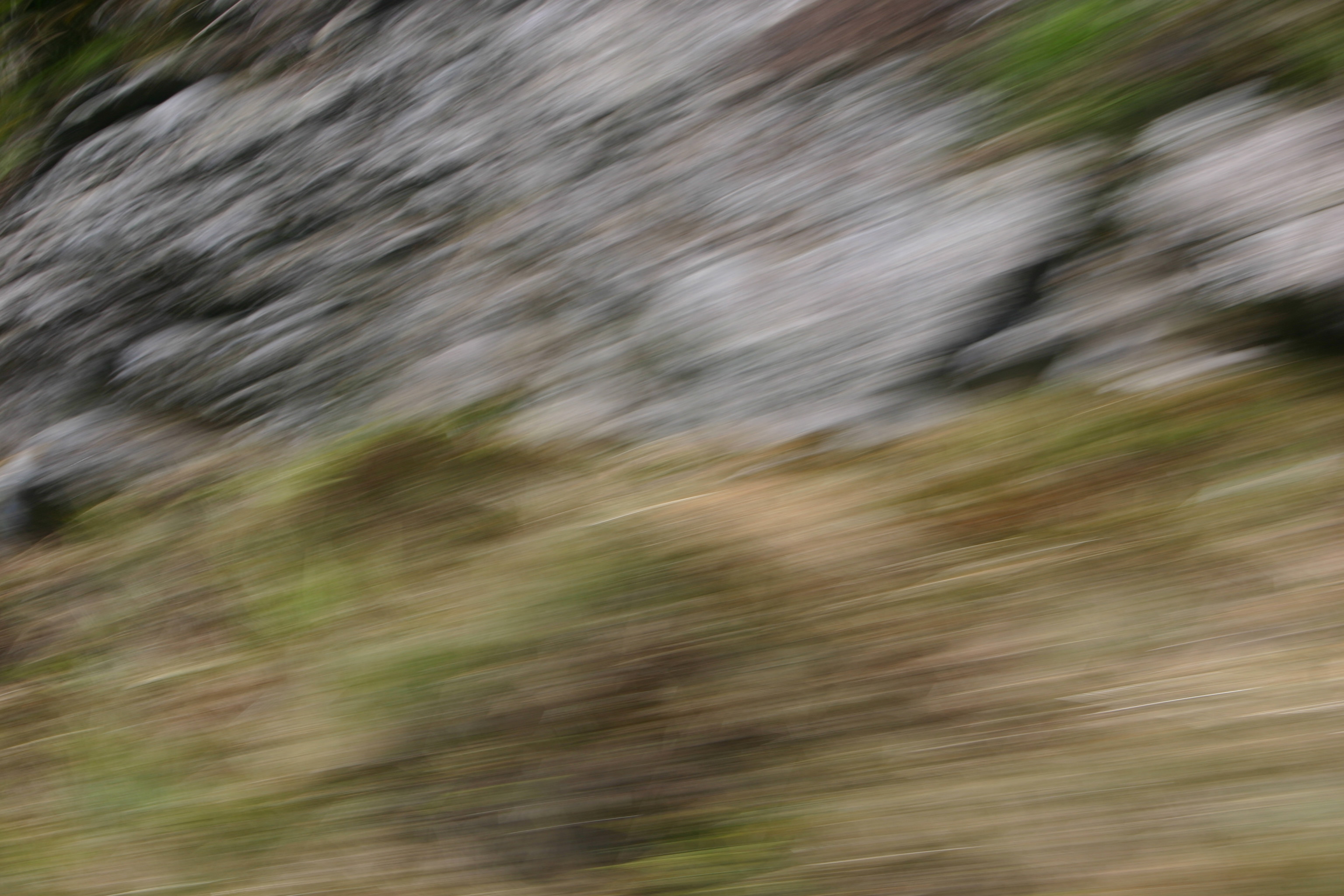 picture 1.